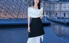 DJ是什么意思啊